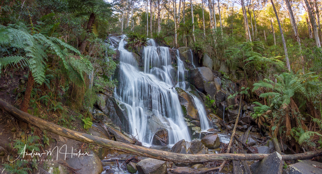 Toorongo Falls